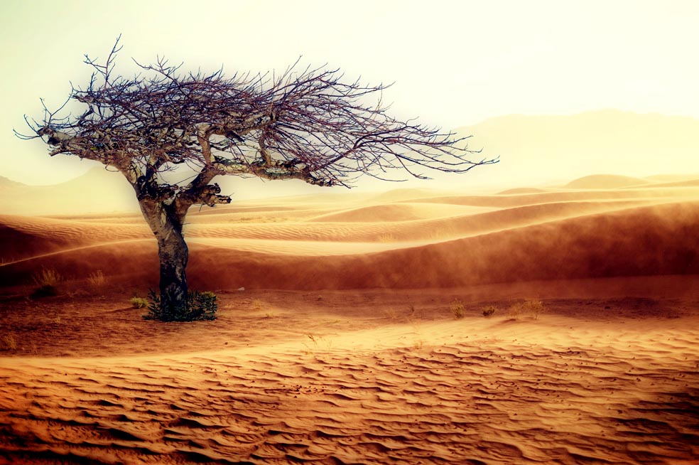 Klimat Capital Magazyn 3222_33 lr