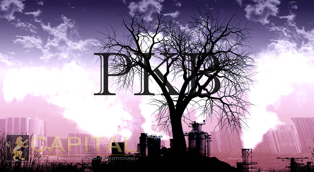 PKB Nr 24333 Capital Magazyn